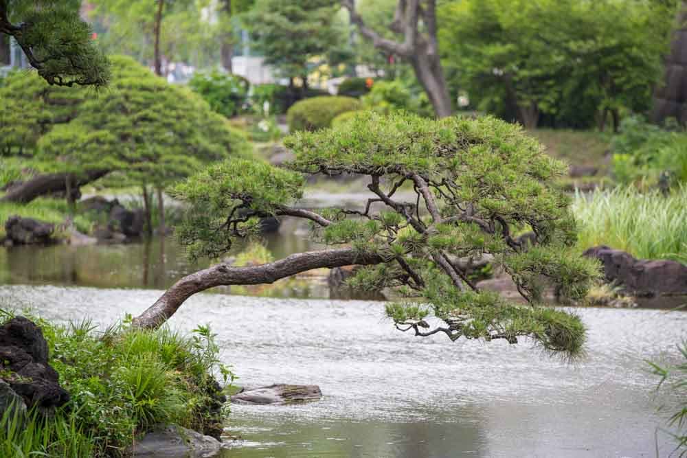 Hibiya Park