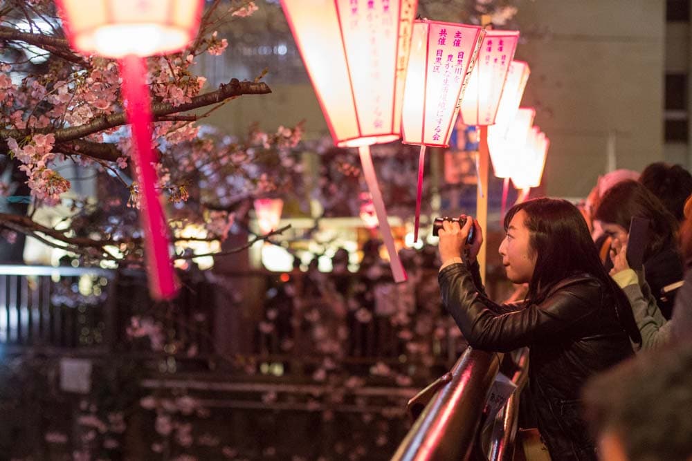 Nakameguro Cherry Blossom Illuminations 2027