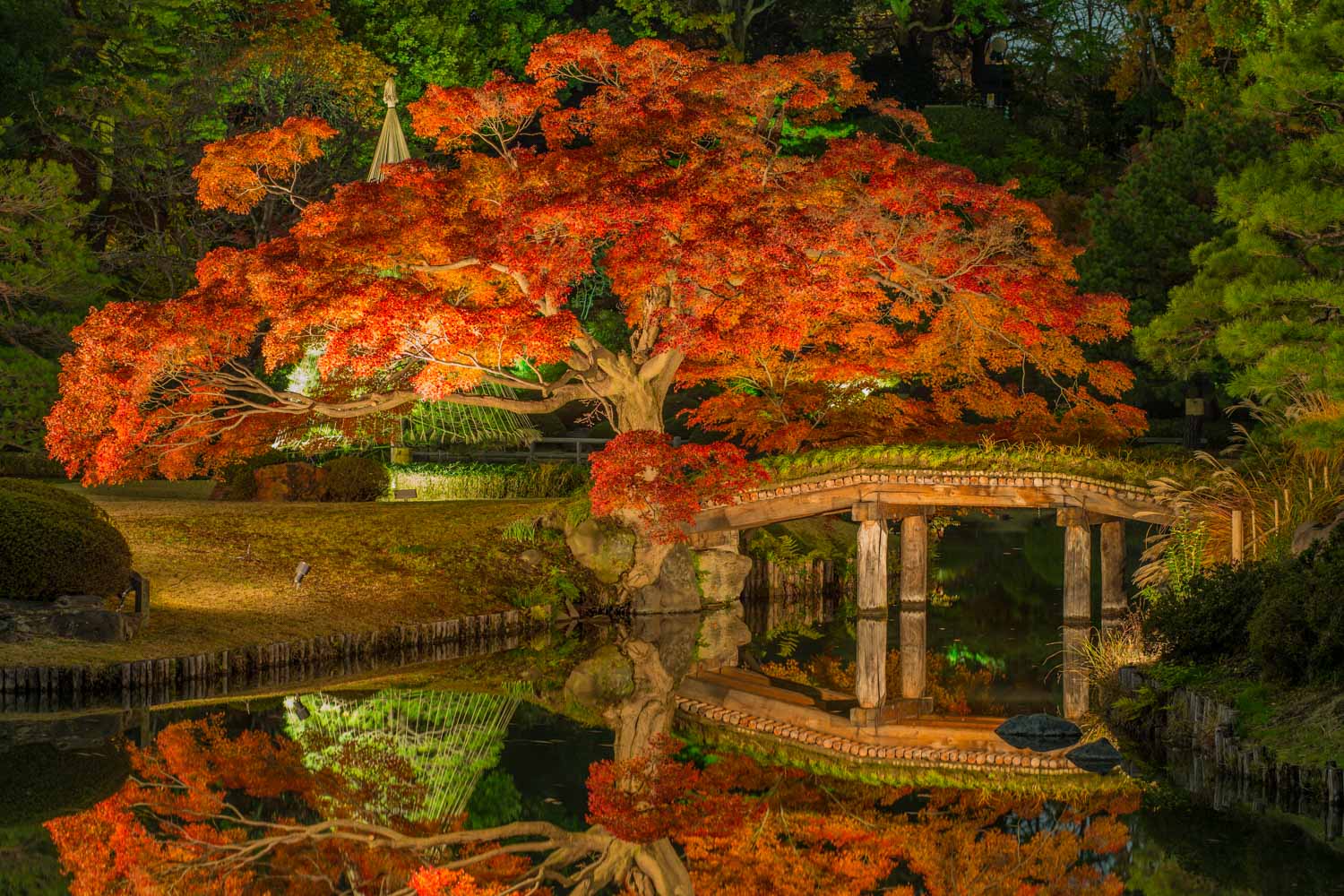 Rikugien Autumn Illuminations 2026