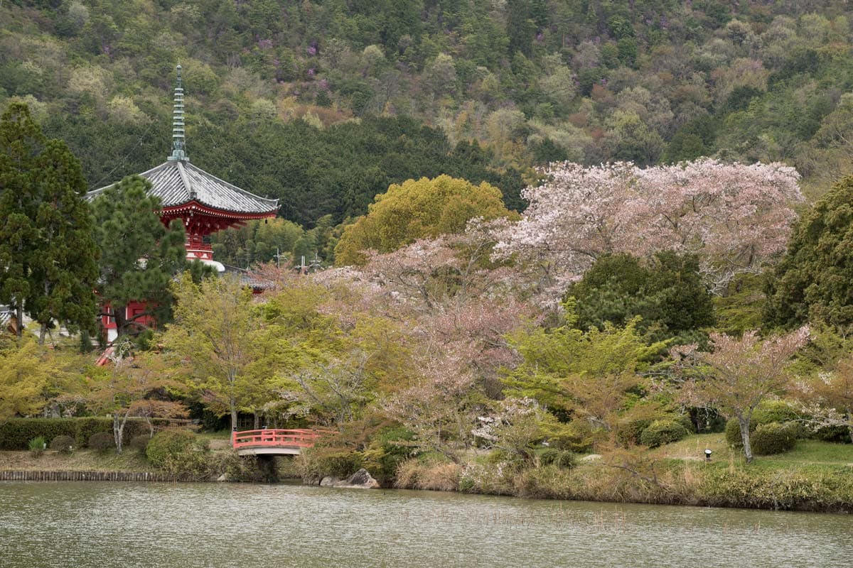 Daikakuji