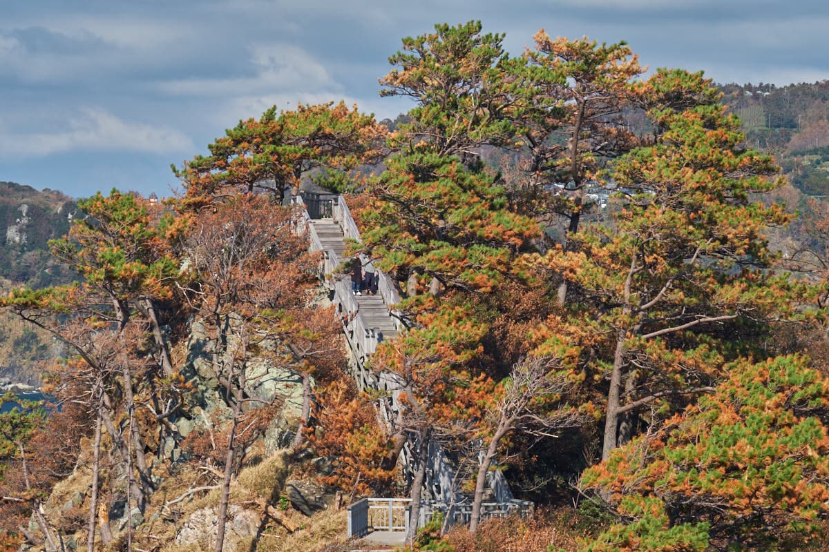 Koganezaki Park