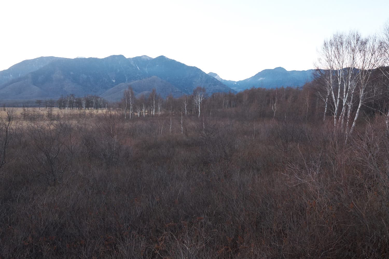 Senjogahara Marshland