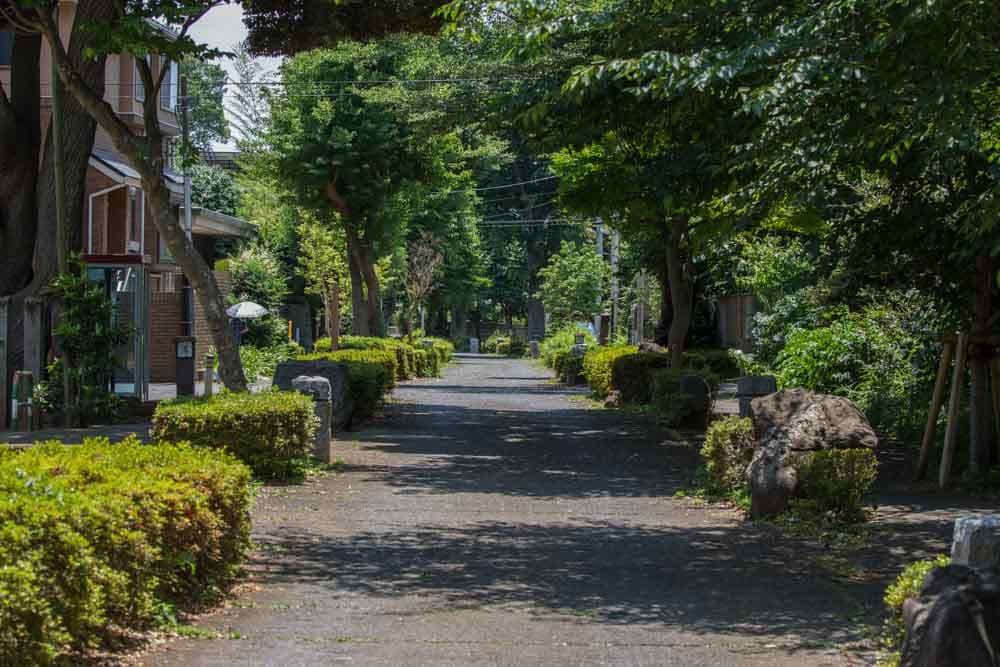Saitama