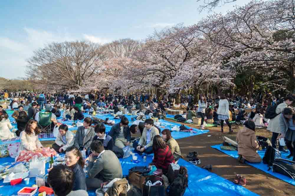 Yoyogi Park