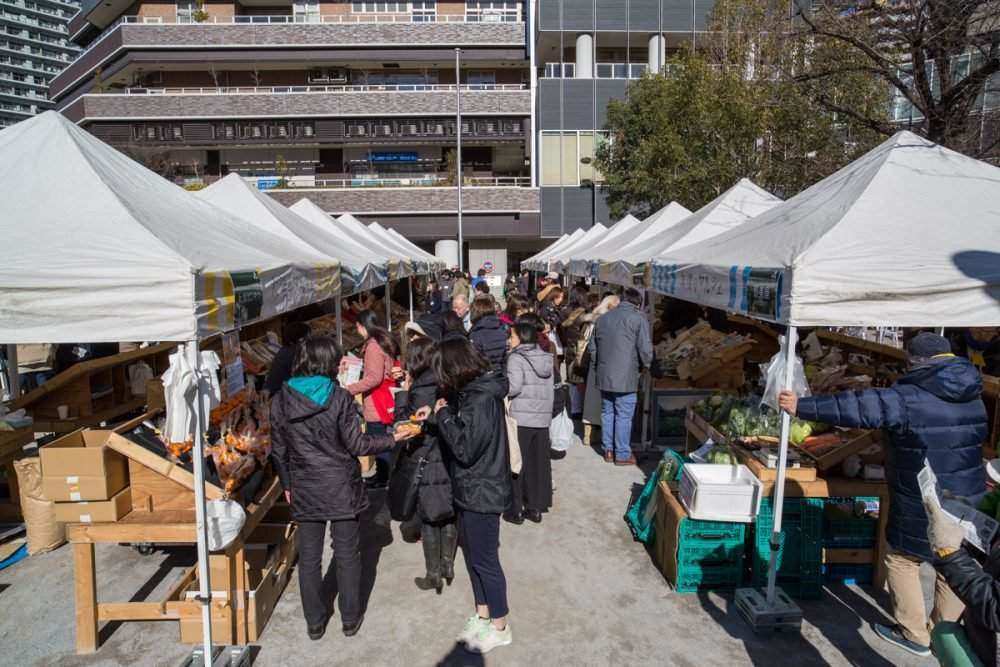 Market of the Sun