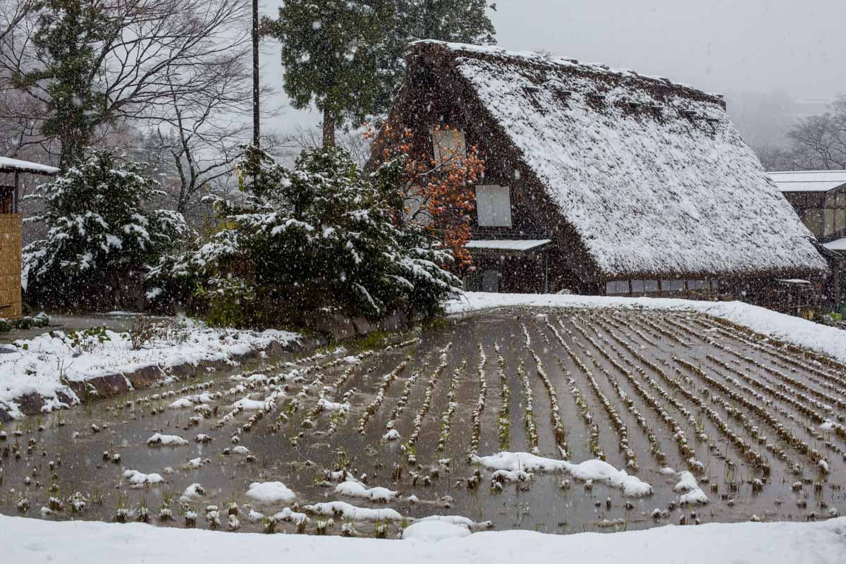 Shirakawa-go