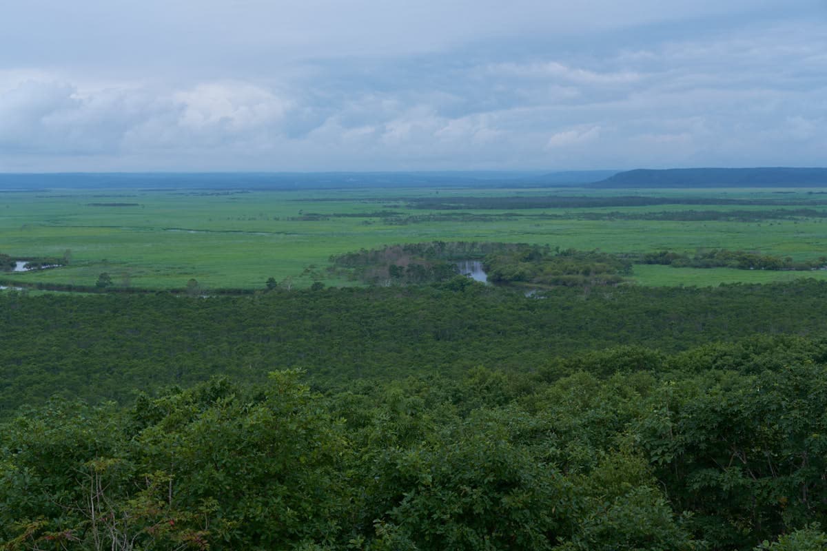 Kushiro Shitsugen National Park