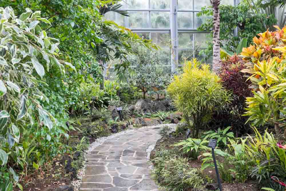 Hachijo Botantical Garden