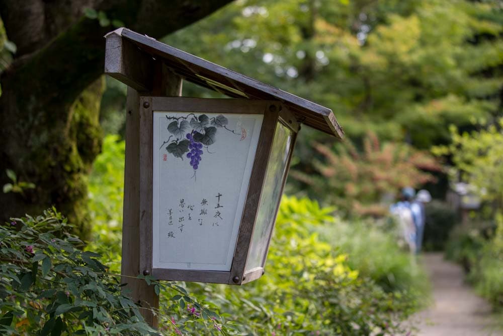 Moon Viewing at Mukojima-Hyakkaen 2026