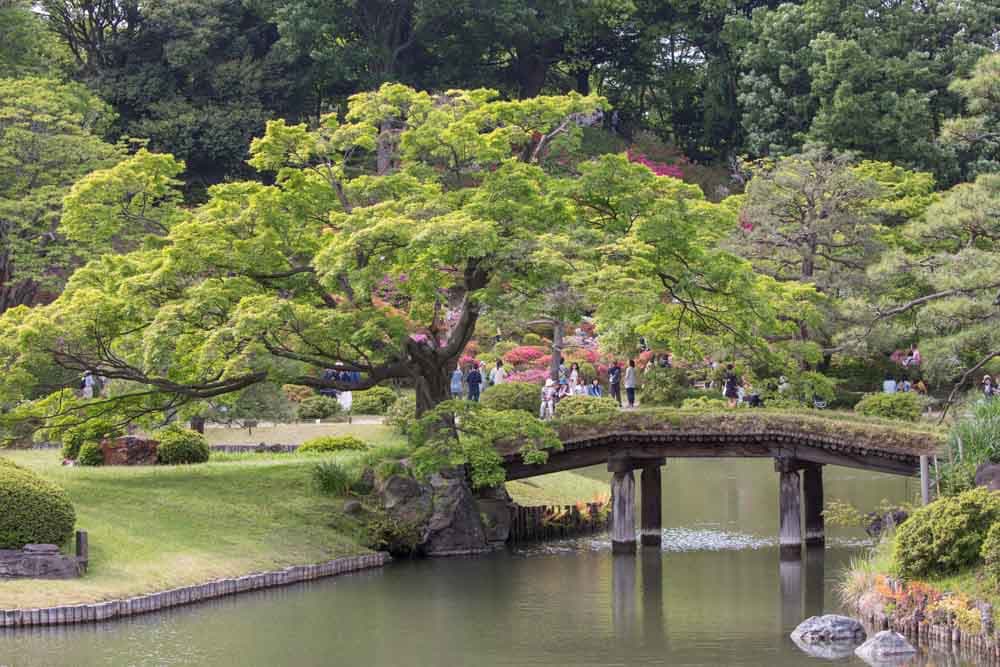 Rikugien Gardens