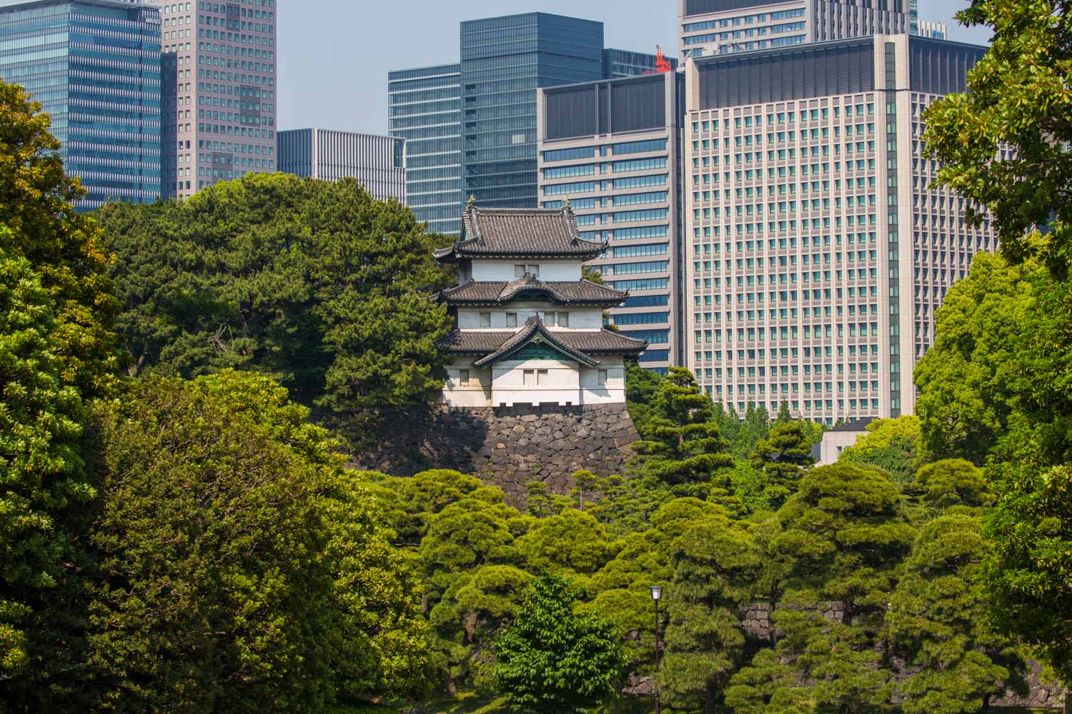 Tokyo Imperial Palace: Day Tour