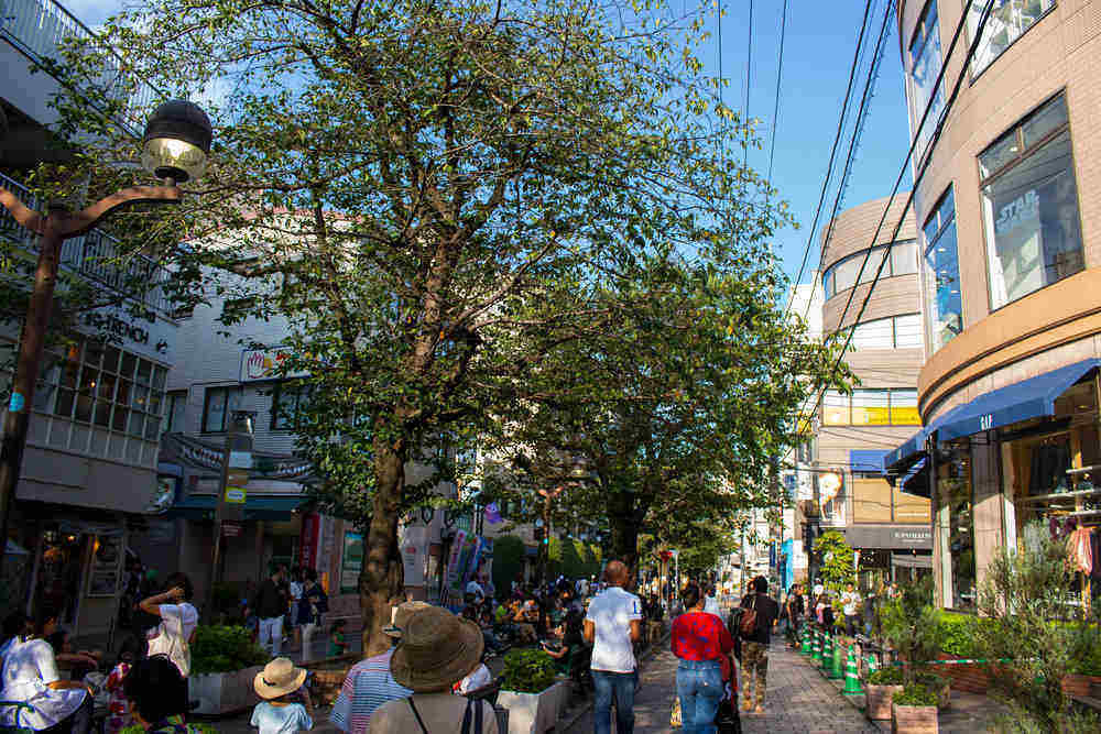 Jiyugaoka Megami Matsuri 2027