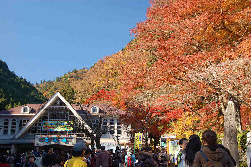 Mount Takao Autumn Leaves Festival 2026