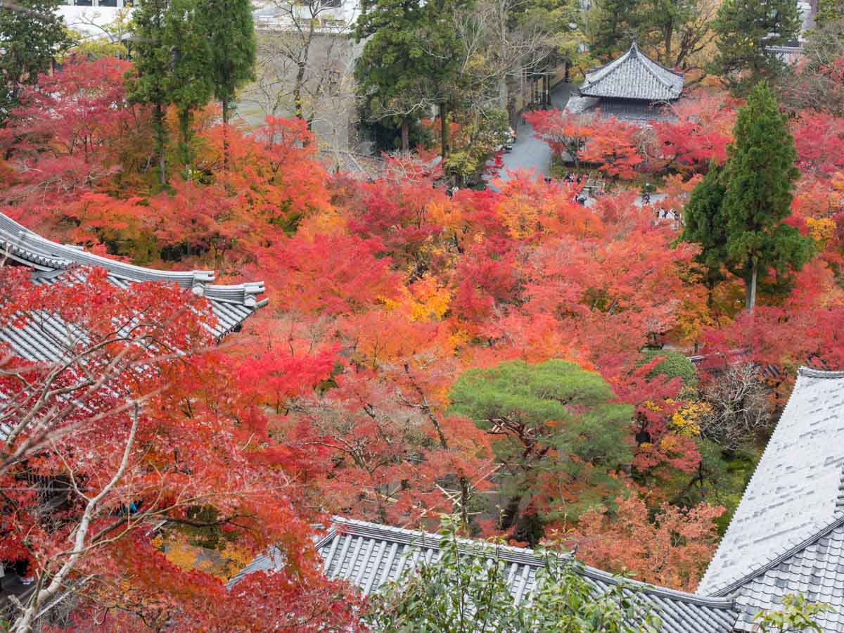 Eikando Temple
