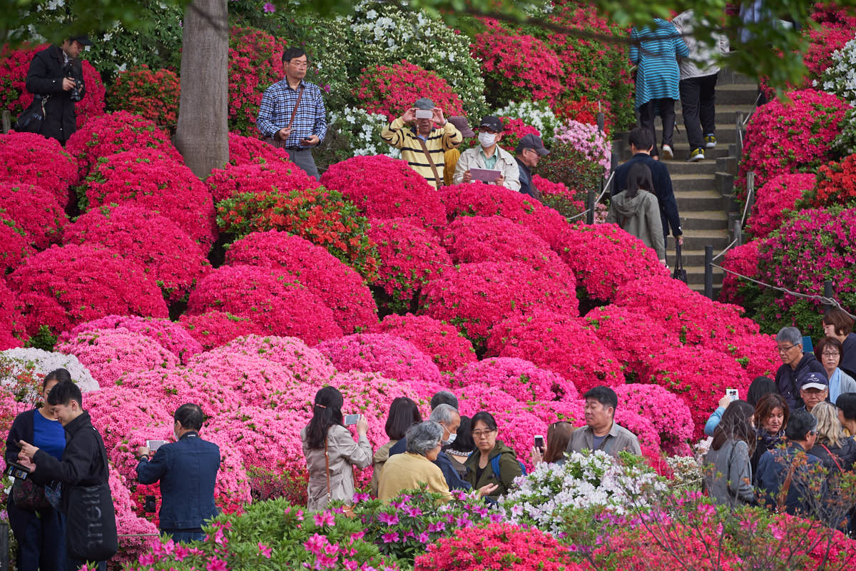 Azalea Festival 2025 Dates