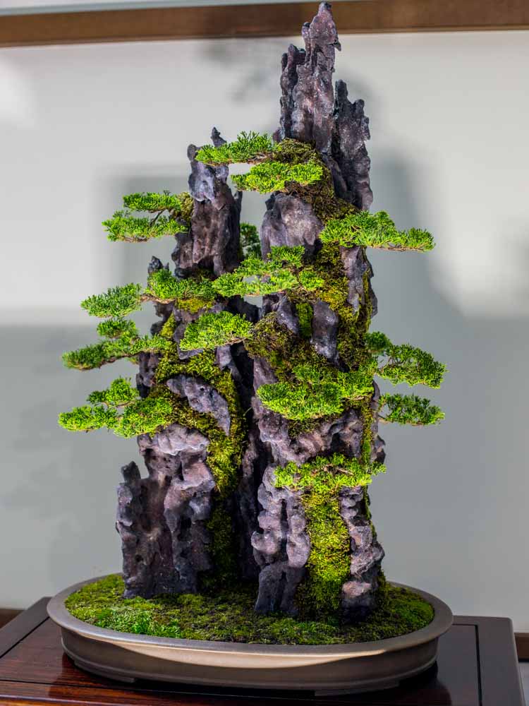 Photographs from the 8th World Bonsai Convention JAPANISTRY