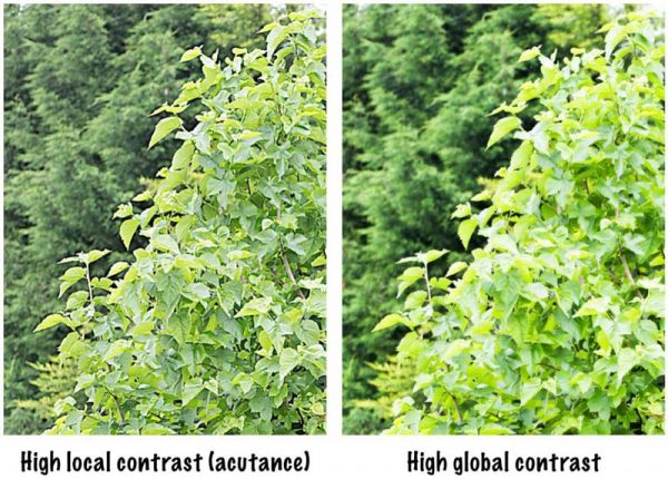 MTF Curves Explained | japanistry.com