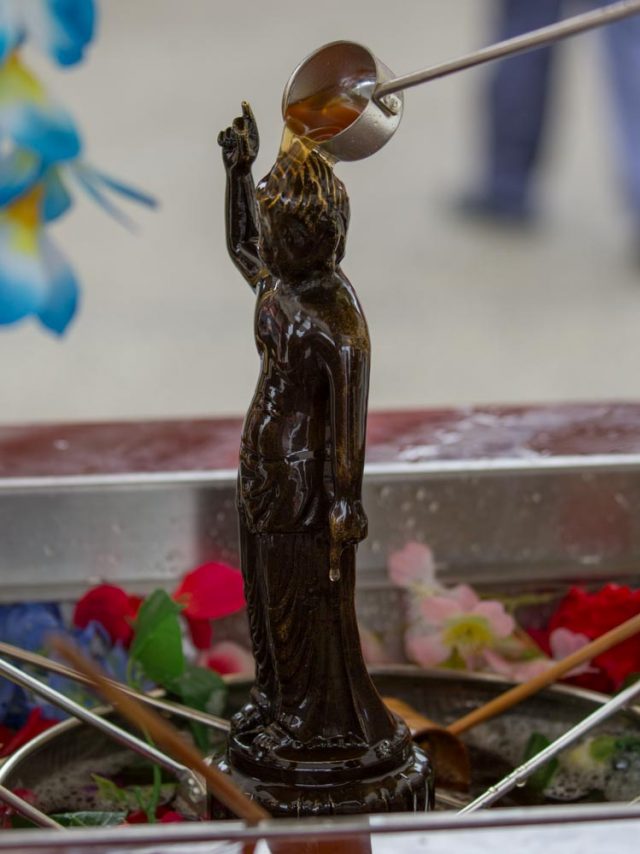 Hana Matsuri at Sensoji 2025