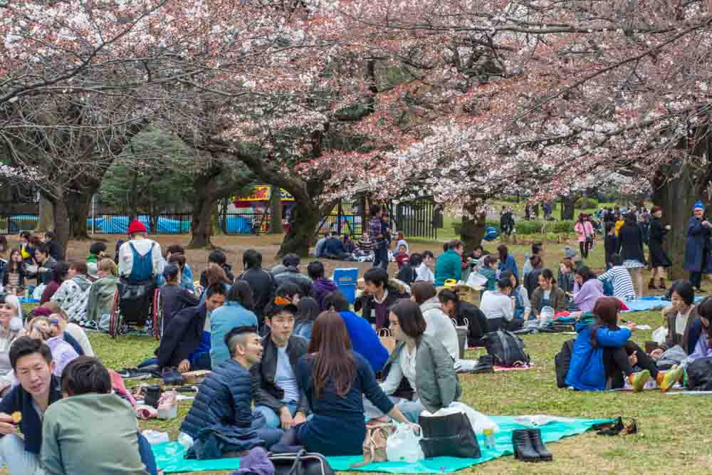 Yoyogi Park The People's Park