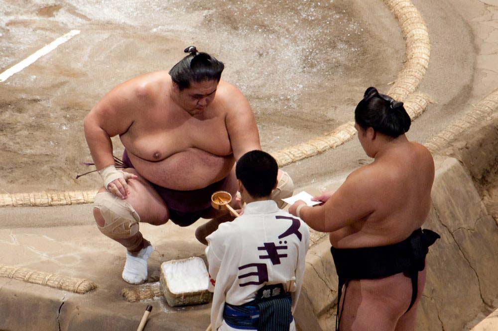 Sumo Wrestlers Characters